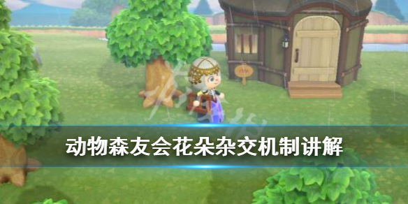 动物森友会花朵杂交机制讲解