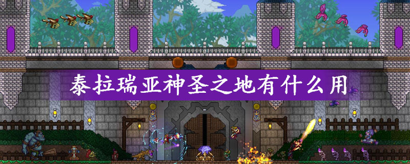 泰拉瑞亚神圣之地用途解析