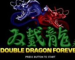 双截龙格斗正宗移植版安卓版