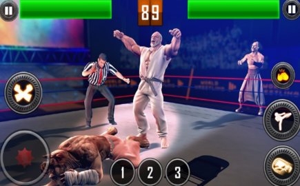 真实摔跤对战2020最新版