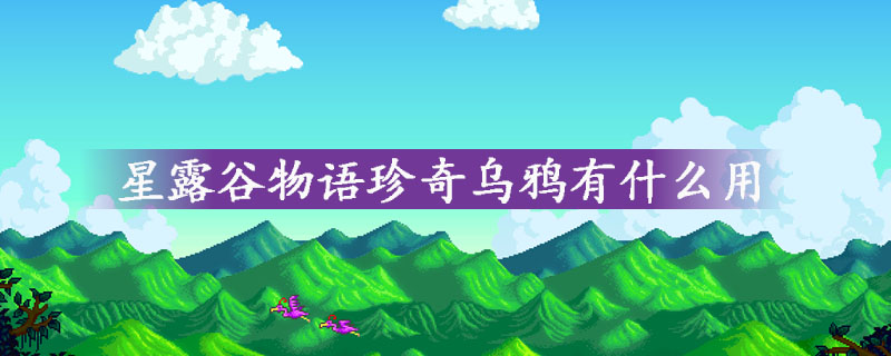 星露谷物语珍奇乌鸦详细解析