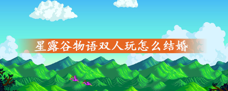 星露谷物语双人玩结婚方法一览