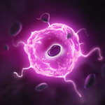 肿瘤医生安卓版