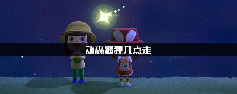 动森狐狸几点走?