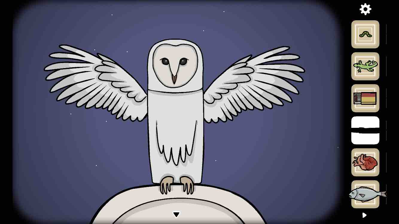 猫头鹰飞走了,得到【羽毛】.