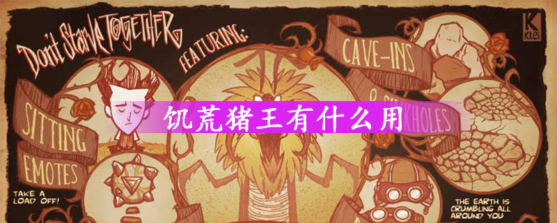 饥荒猪王有什么用