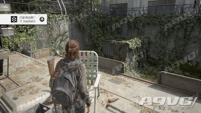 《最后生还者 第二部》全遗留物收集视频攻略 档案保管员奖杯