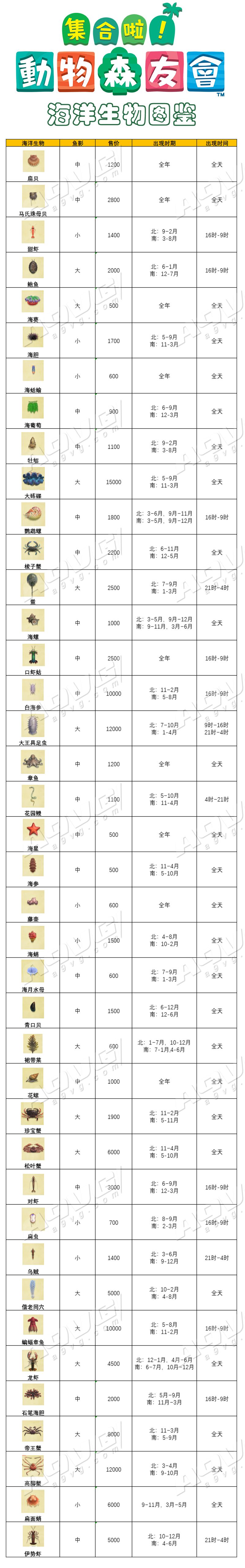 《集合啦！动物森友会》海洋生物全图鉴 新增海洋动物出现时间