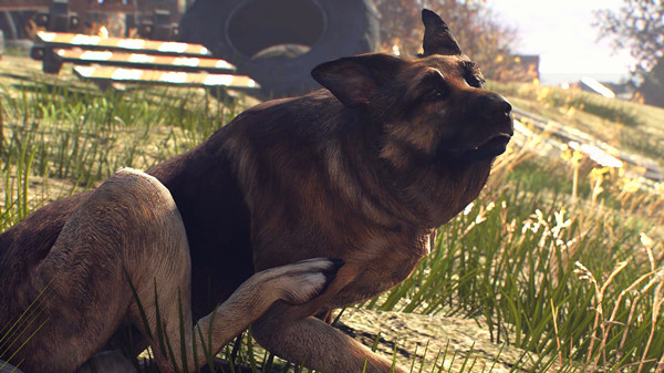 辐射4高清特制版狗肉 绿色版