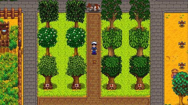 星露谷物语季节性草路径MOD Novan版