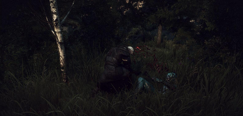 巫师3:狂猎游戏性整体增强MOD 绿色版