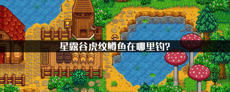 星露谷物语虎纹鳟鱼钓鱼地点介绍-超能街机