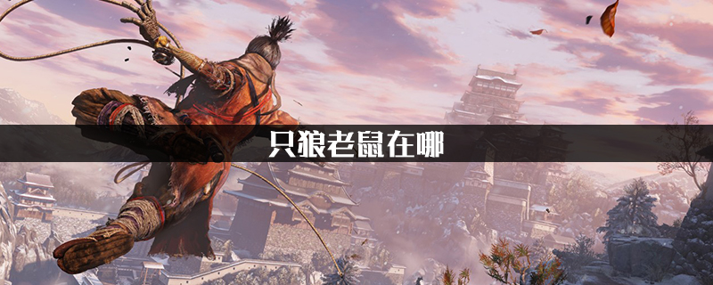 只狼影逝二度之中,玩家能够通过击杀老鼠然后在天狗处拿到苇名流秘籍