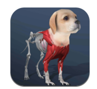 闲置宠物安卓版