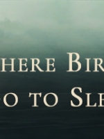 WhereBirdsGotoSleep中文版
