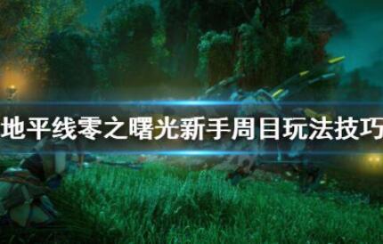 地平线零之曙光新手周目玩法技巧分享