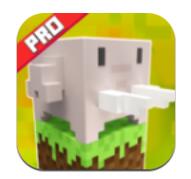 工艺世界名人免费版