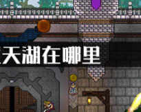 泰拉瑞亚天湖在哪里?