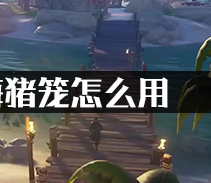 盗贼之海猪笼怎么用?