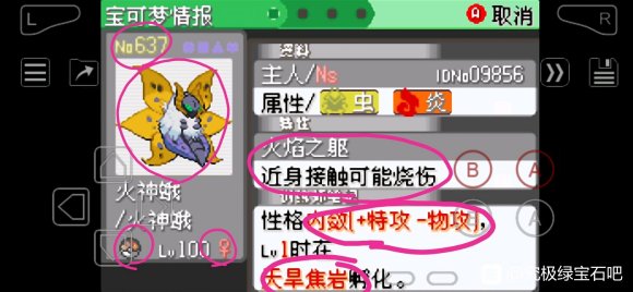 口袋妖怪究极绿宝石4孵蛋攻略