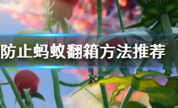 禁闭求生蚂蚁翻箱子怎么办?grounded防止蚂蚁翻箱方法推荐