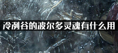 冷冽谷的波尔多灵魂有什么用?