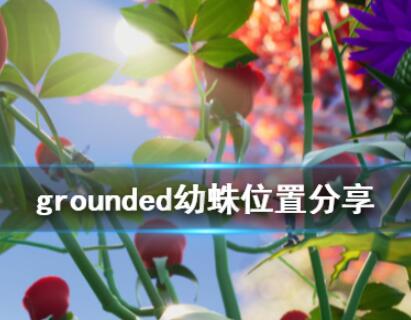 禁闭求生幼蛛位置图文一览