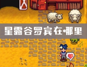 星露谷罗宾在哪里?