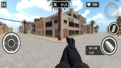 挺进决赛圈中文汉化版apk