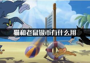 猫和老鼠银币作用详细介绍