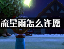 动物之森流星雨怎么许愿?