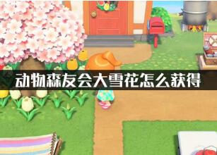 集合啦动物森友会大雪花获得攻略
