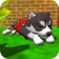 小狗养成模拟器3D最新版