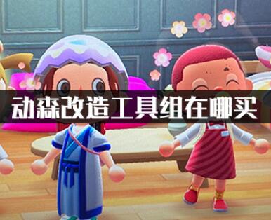 动物森友会改造工具组购买方式分享