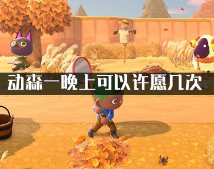 动物森友会一晚上许愿次数一览