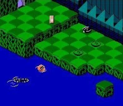 《双蛇城》7合一怪鸭历险记视频介绍