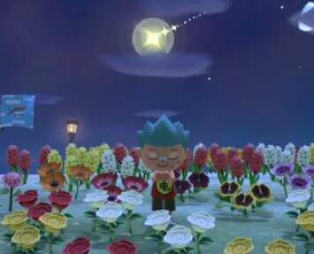 动物之森快速获得星星碎片途径一览