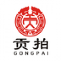 贡拍