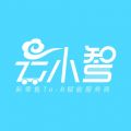 云小智