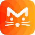尖叫猫