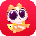 觅鱼猫<span></span>