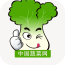 国内蔬菜网