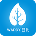 WADDY日化