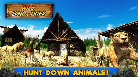狮虎大战安卓版