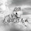 天狼国际商城