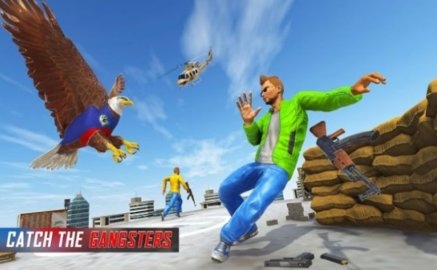 美国警察鹰匪追逐射击最新版