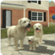 城市狗狗模拟生存ios版