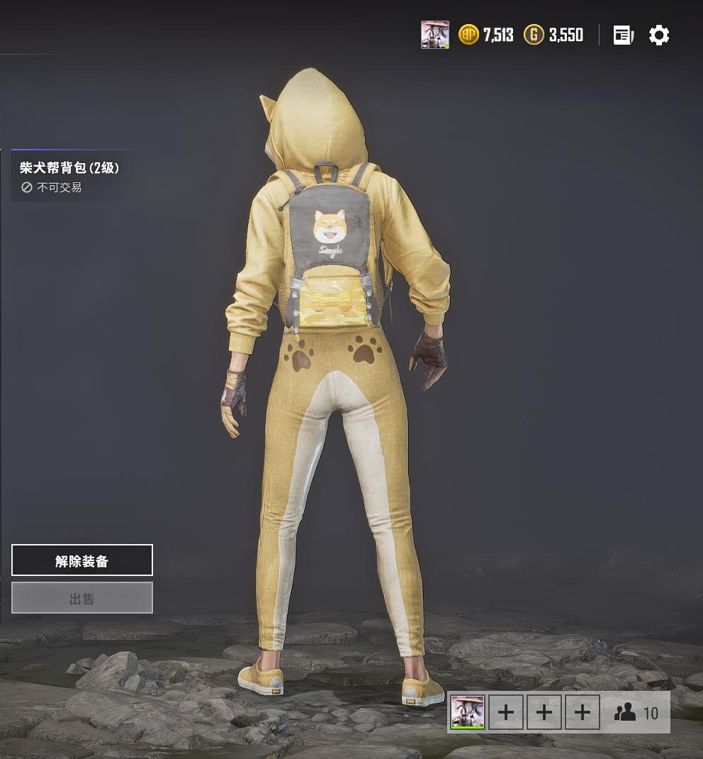 绝地求生金毛柴犬帮套装游戏内效果