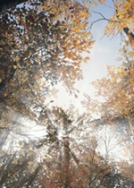 Live of die中文汉化版