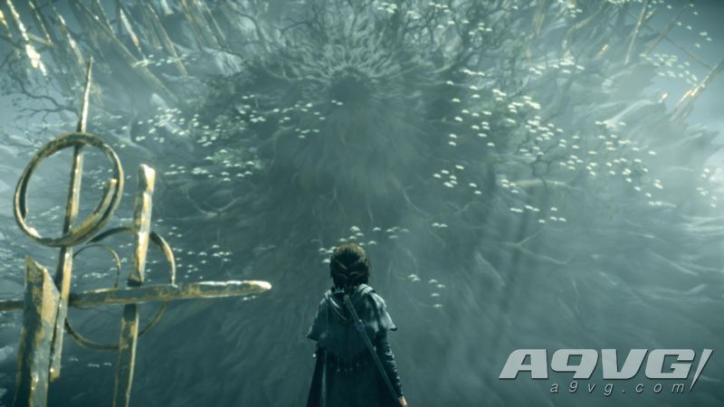 《恶魔之魂 重制版》黑白世界影响攻略 黑白世界怎么刷